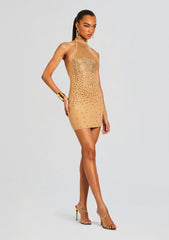 Bindi Embellished Knit Dress