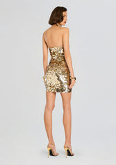 Nolia Sequin Embellished Dress