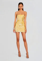 Nolia Sequin Embellished Dress