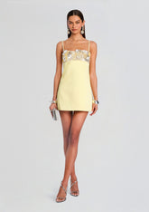 Lark Embroidered Dress