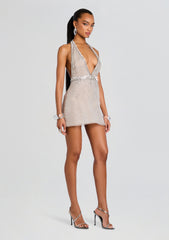 Courtnee Embellished Dress