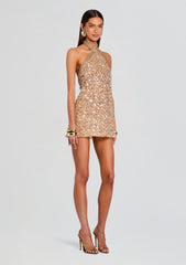 Janneth Embroidered Dress