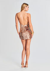 Nara Feather Sequin Dress