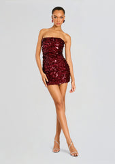Nolia Sequin Embellished Dress