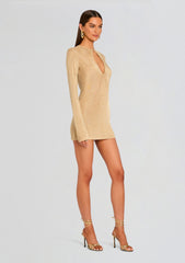 Emeri Metallic Knit Mini Dress