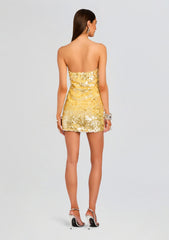 Nolia Sequin Embellished Dress