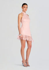 Raquelle Lace Dress